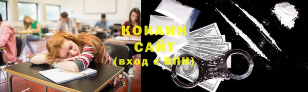 ГАЛЛЮЦИНОГЕННЫЕ ГРИБЫ Абаза