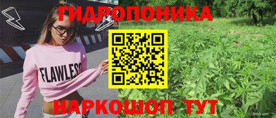 эйфоретик Северобайкальск
