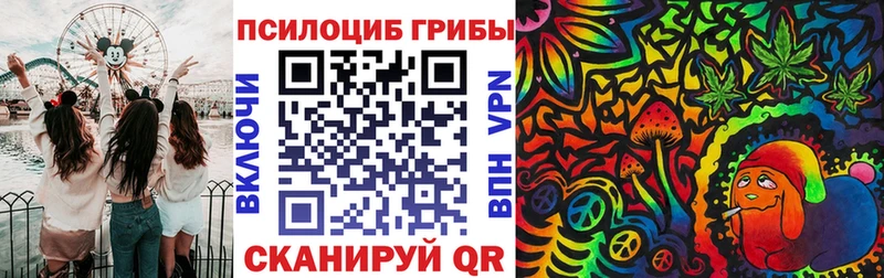 Псилоцибиновые грибы прущие грибы купить Черемхово